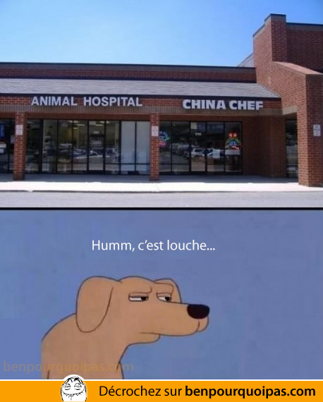 animal-hospital-china-chef