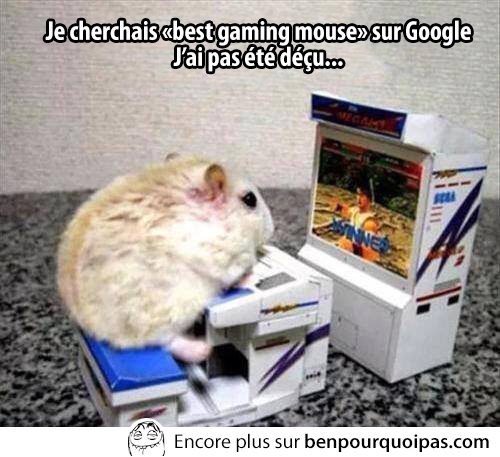 best-gaming-mouse