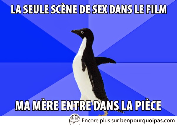 images-message-pingouin-seule-scene-de-sex
