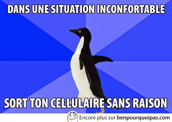 images-message-pingouin-situation-malaise
