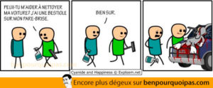 cyanide-and-happinesse-en-francais-bestiole-pare-brise
