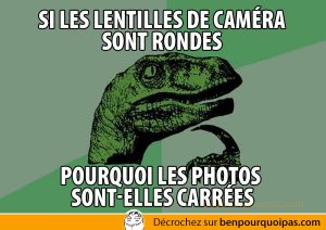 Philosoraptor: si les lentilles de camera sont rondes