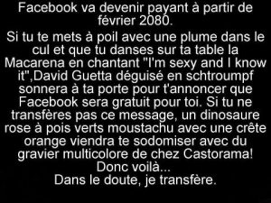 Facebook sera payant en 2080.