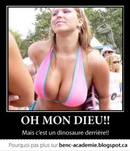 décolleté d'une femme sexy en bikini