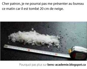 20 cm de neige avec ruban à mesurer