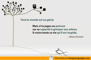 tout-le-monde-est-un-genie