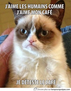 grumpy cat aime pas les humain