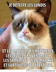 grumpy-cat-je-deteste-les-lundis