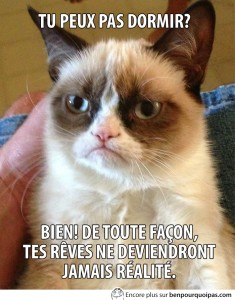 grumpy-cat-peut-pas-dormir