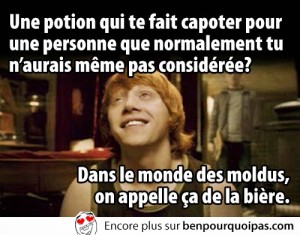 les-moldus-appellent-ca-biere
