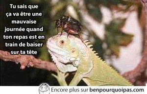 mauvaise-journee
