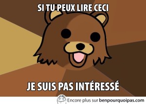 ours-pedo-si-tu-peux-lire-ca