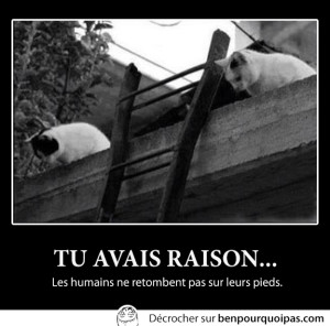 Demotivation-humain-ne-retombent-pas-sur-pieds