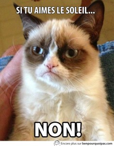 grumpy-cat-si-tu-aimes-le-soleil