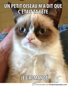 grumpy-cat-un-petit-oiseau