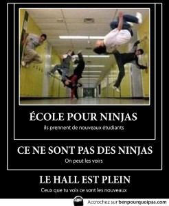 Demotivation-ecole-ninja
