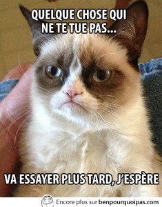 grumpy-cat-quelque-chose-qui-te-tue-pas