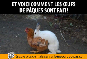 Comment sont fait les oeufs de pâques