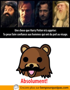 harry-potter-tu-peux-faire-confiance-au-visages-poilus