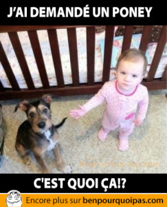 jai-demande-un-poney