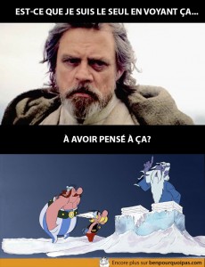 venerable-du-sommet-luke-skywalker