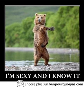 ours danse