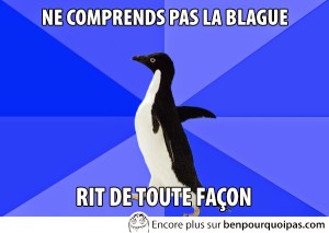 images-message-pingouin-ris-de-la-joke-tout-de-meme