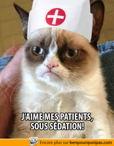 grumpy-cat-jaime-mes-patiens-sous-sedation
