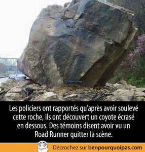 Les policiers ont découverts un coyote...