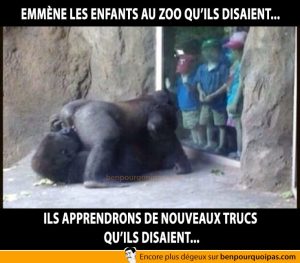 Emmener les enfants au zoo