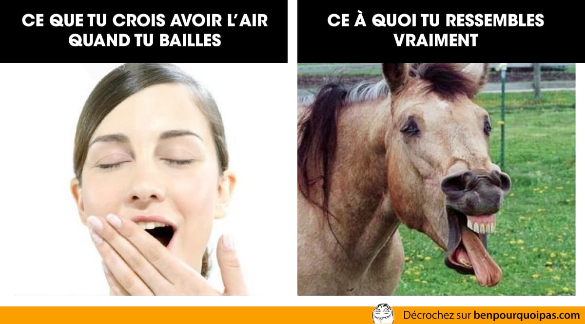 ce-que-tu-a-lair-baille-ben-pourquoi-pas
