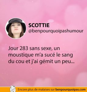 jours-sans-sex-moustique-ben-pourquoi-pas