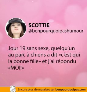 jours-sans-sex-parc-a-chiens-ben-pourquoi-pas