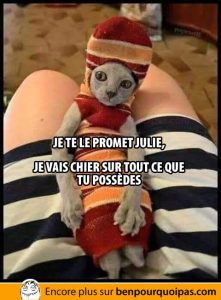 chat habillé pas content se vengera