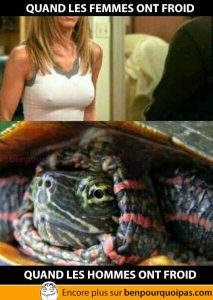 Quand les femmes ont froid, versus les hommes