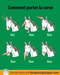 Comment une licorne doit porter la corne