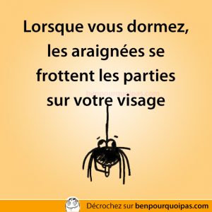 Lorsque vous dormez, les araignées se frottent les parties sur votre visage