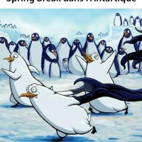 Spring Break dans l'Antartique