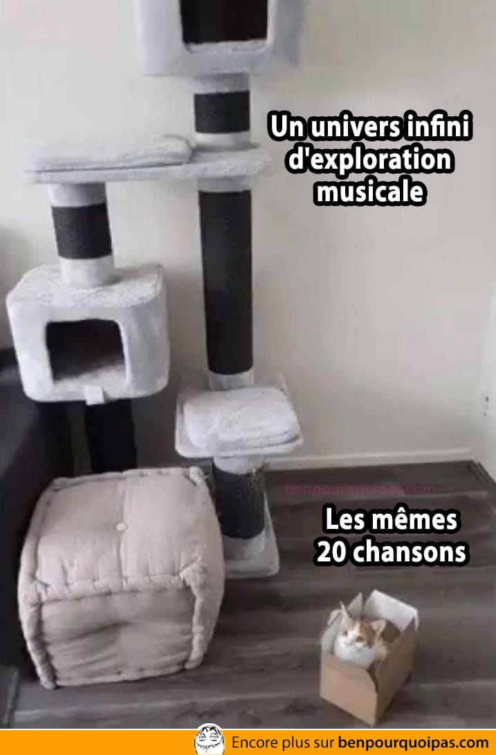Un univers d'exploration musical vs les mêmes 20 chansons