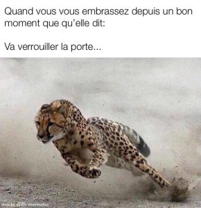Un guépard qui cours