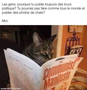 Un chat regarde un manifeste communiste