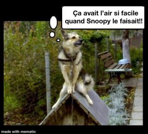 chien assis sur le toit de sa niche snoopy