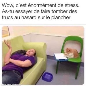 Un chat psychologue donne des conseils valables