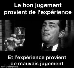 Le bon jugement provient de l'expérience...