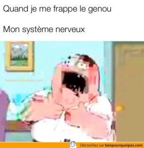 Family Guy dans un meme