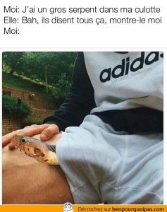 Quand le gars te dit qu'il a un serpent dans sa culotte