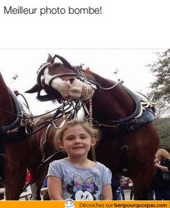 Quand un cheval te photobomb