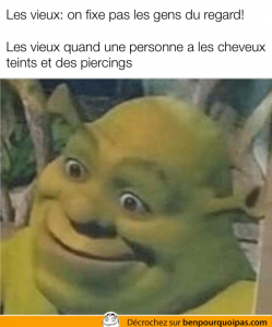 shrek qui fais une face évidente