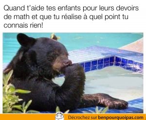 un ours à l'air de réfléchir