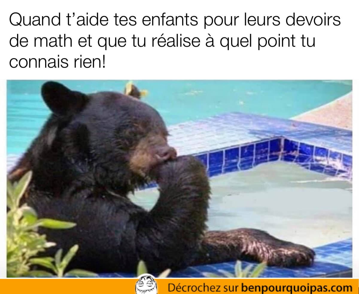 un ours à l'air de réfléchir